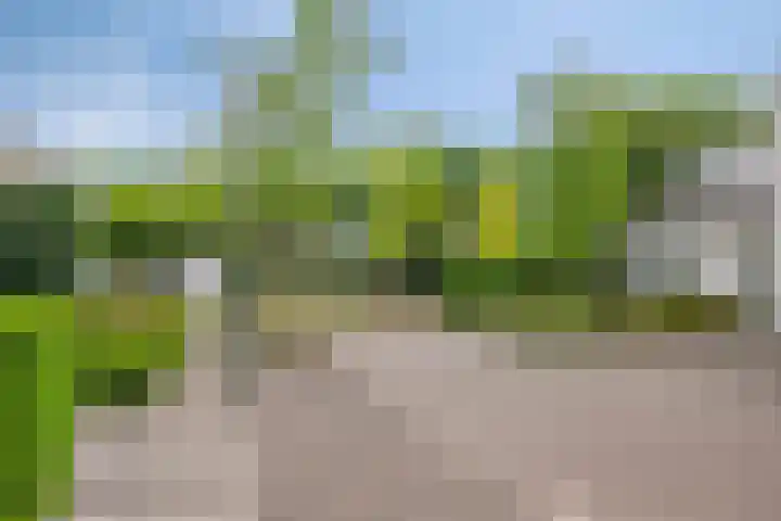 Willem Sengershof 16 Nuenen thumbnail 8