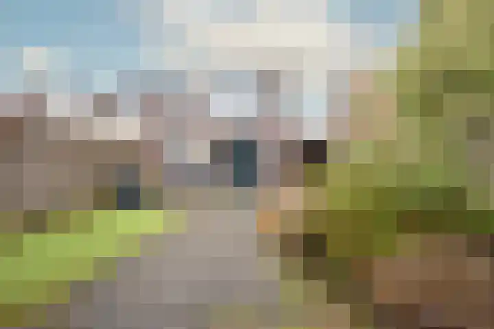 Willem Sijpesteijnstraat 14 Assendelft thumbnail 10