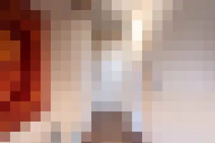 Willem Sijpesteijnstraat 14 Assendelft thumbnail 13