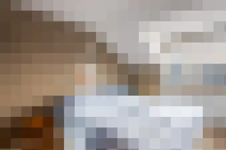 Willem Sijpesteijnstraat 14 Assendelft thumbnail 14