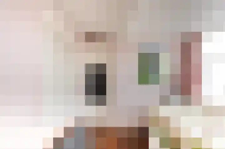 Willem Sijpesteijnstraat 14 Assendelft thumbnail 18