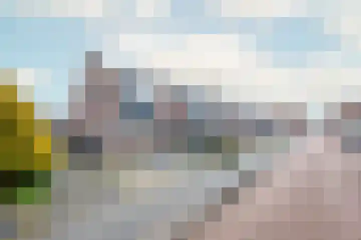 Willem Sijpesteijnstraat 14 Assendelft thumbnail 26