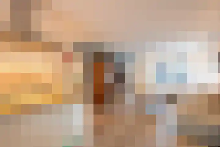 Willem Sijpesteijnstraat 14 Assendelft thumbnail 5