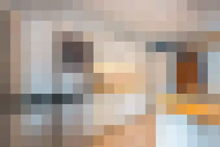 Willem Sijpesteijnstraat 14 Assendelft thumbnail 6