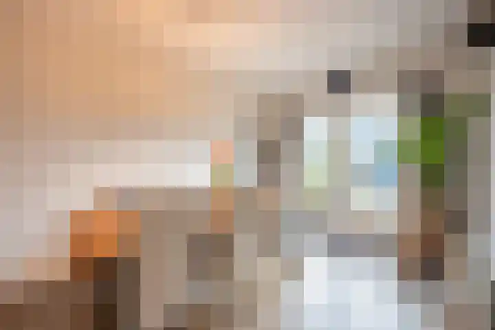 Willem Sijpesteijnstraat 14 Assendelft thumbnail 7