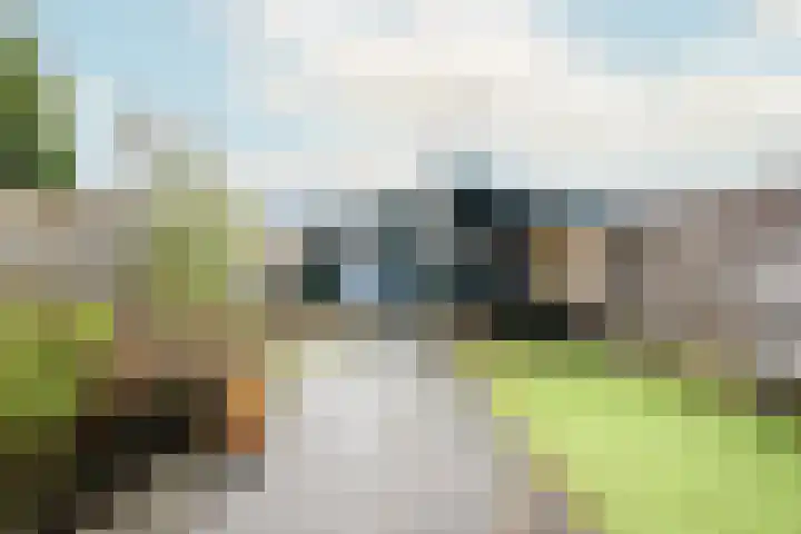Willem Sijpesteijnstraat 14 Assendelft thumbnail 9