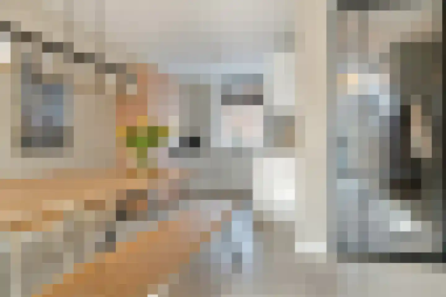 Willem Sijpesteijnstraat 2 A 1 Assendelft thumbnail 17