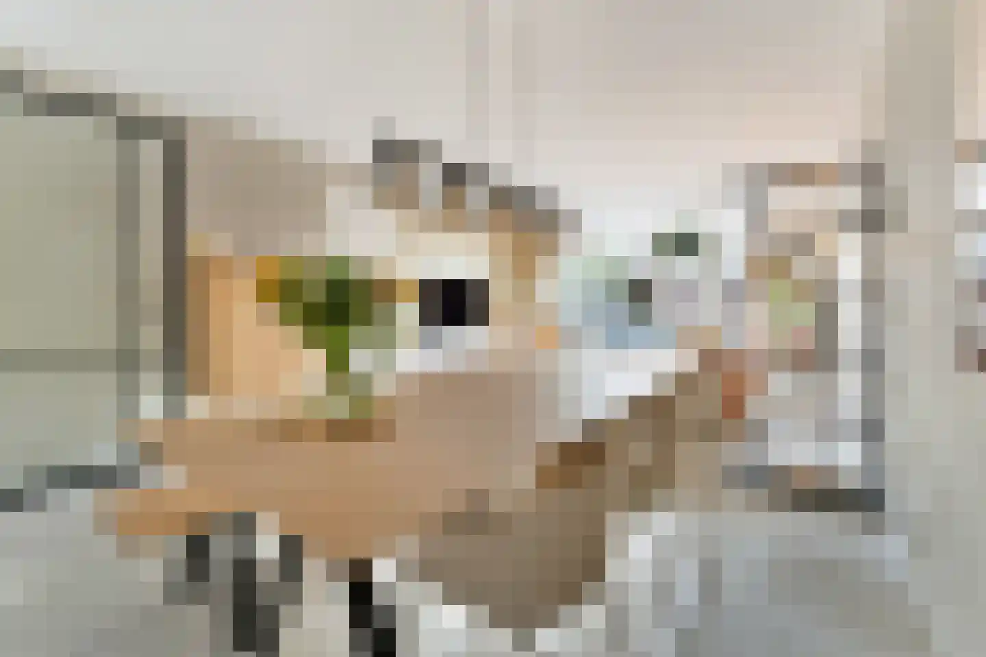 Willem Sijpesteijnstraat 2 A 1 Assendelft thumbnail 19