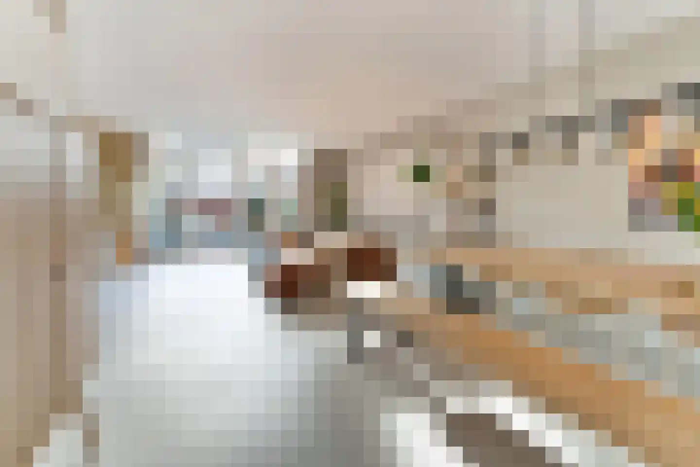 Willem Sijpesteijnstraat 2 A 1 Assendelft thumbnail 20