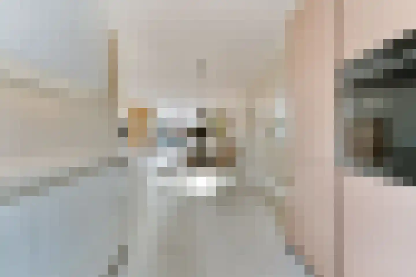 Willem Sijpesteijnstraat 2 A 1 Assendelft thumbnail 26