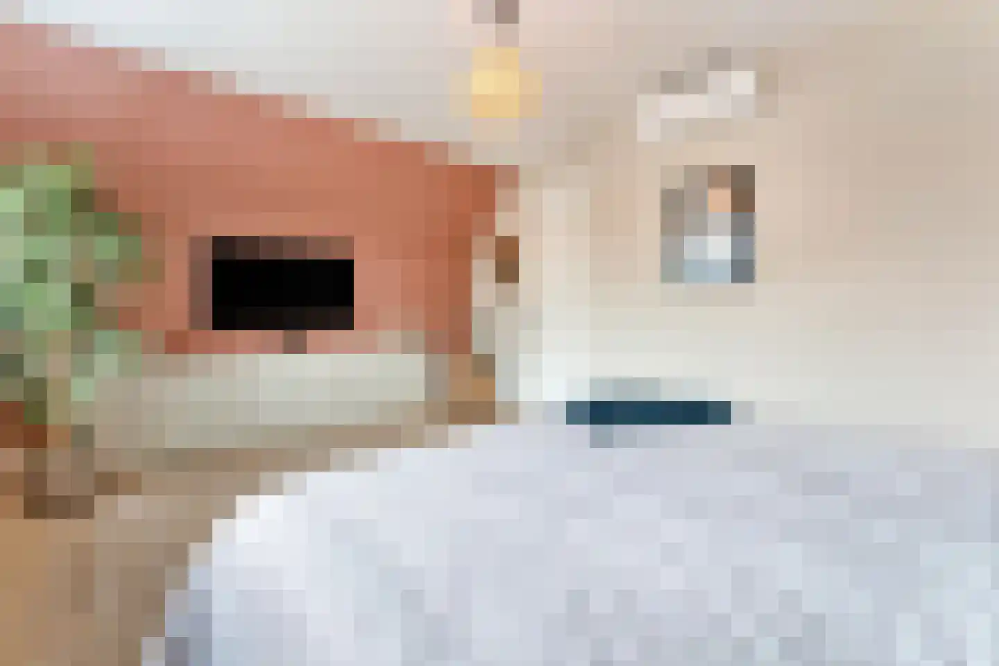 Willem Sijpesteijnstraat 2 A 1 Assendelft thumbnail 33