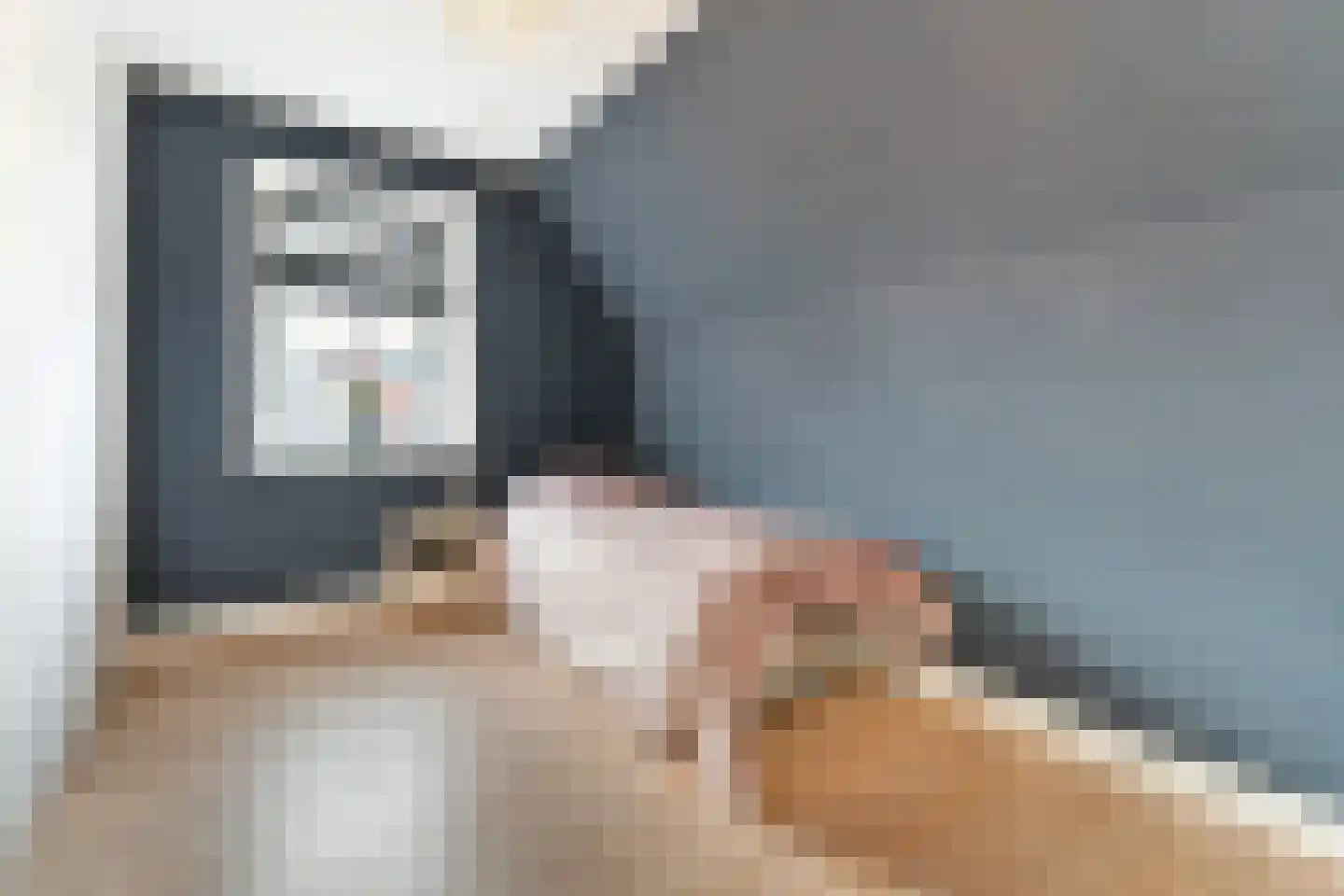 Willem Sijpesteijnstraat 2 A 1 Assendelft thumbnail 34