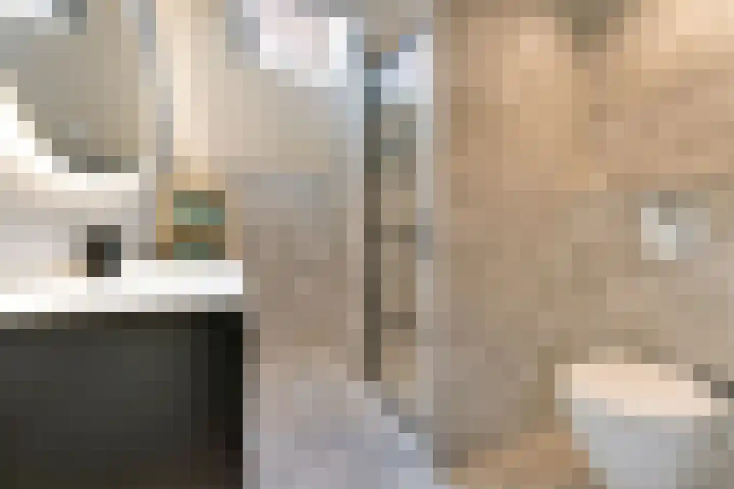 Willem Sijpesteijnstraat 2 A 1 Assendelft thumbnail 40