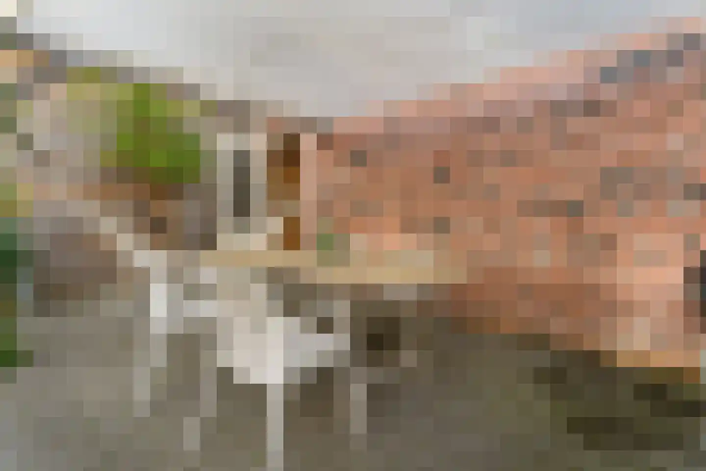 Willem Sijpesteijnstraat 2 A 1 Assendelft thumbnail 48