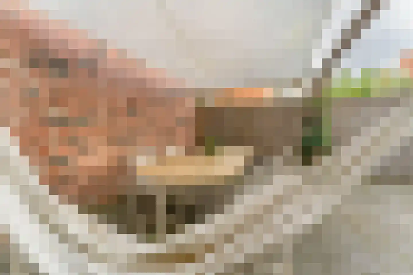 Willem Sijpesteijnstraat 2 A 1 Assendelft thumbnail 49