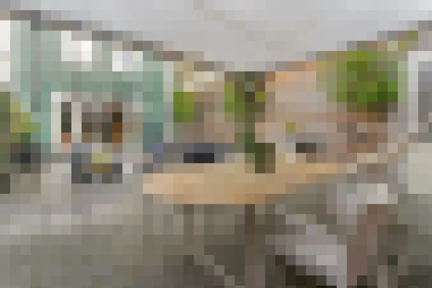 Willem Sijpesteijnstraat 2 A 1 Assendelft thumbnail 50