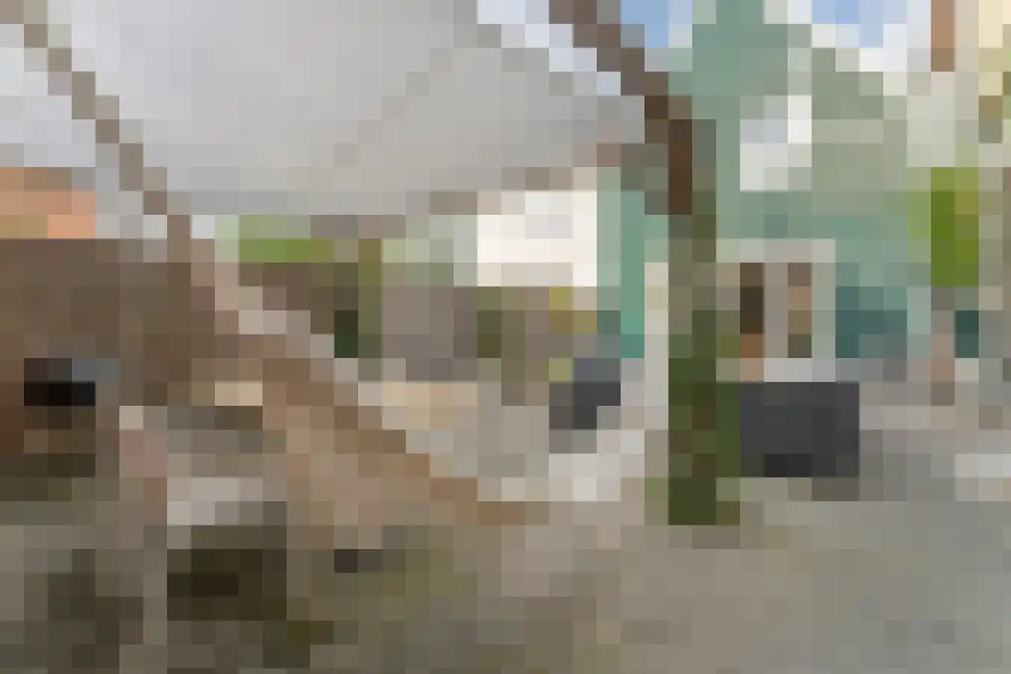 Willem Sijpesteijnstraat 2 A 1 Assendelft thumbnail 51