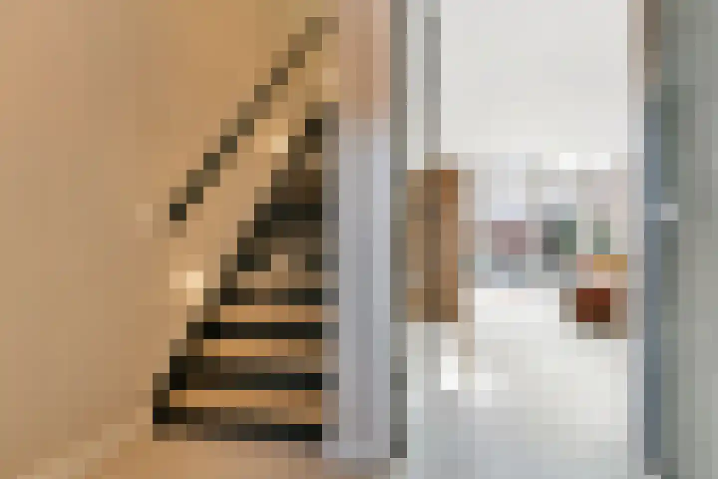 Willem Sijpesteijnstraat 2 A 1 Assendelft thumbnail 7