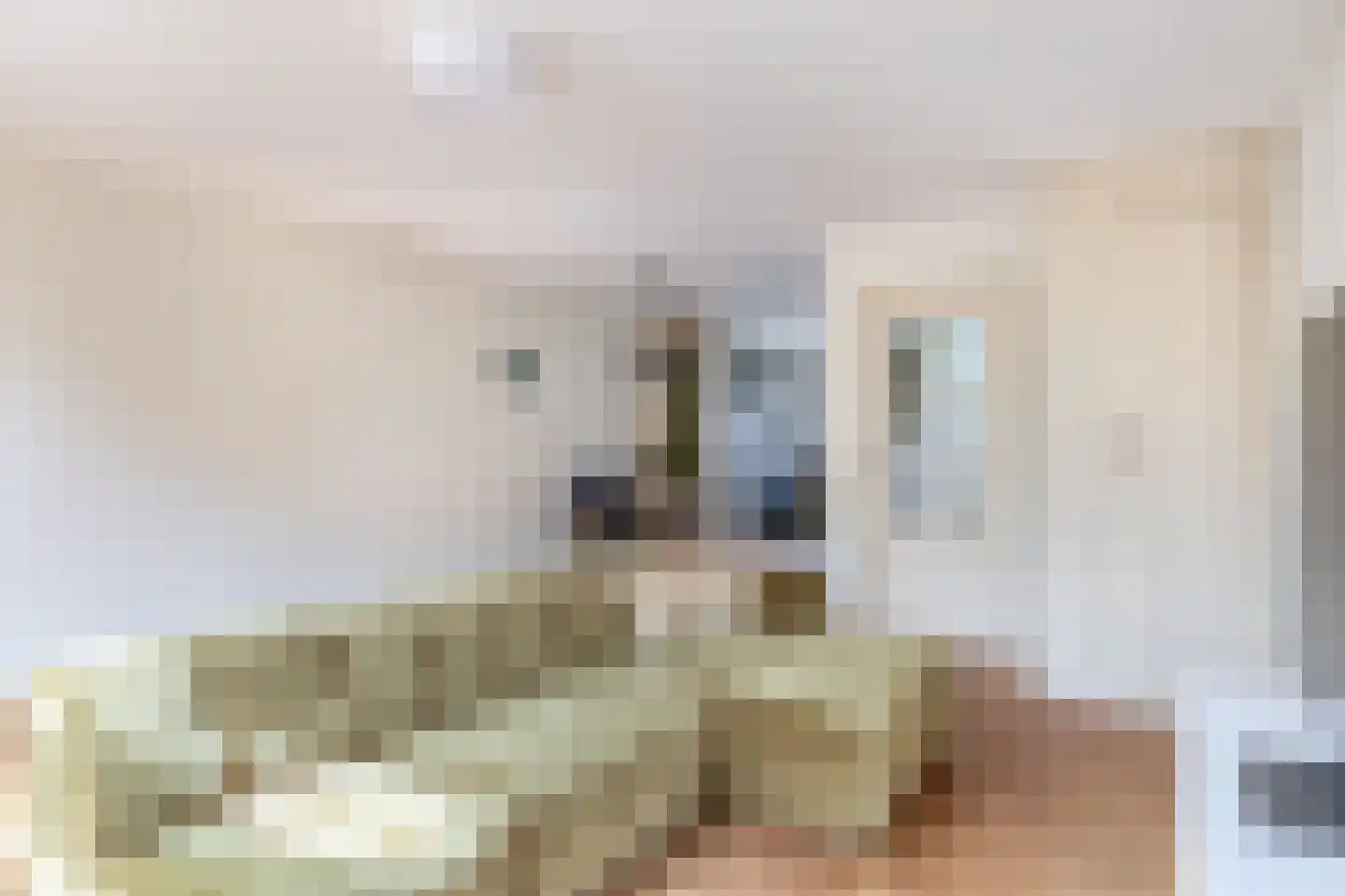 Willem Sijpesteijnstraat 2 b Assendelft thumbnail 13