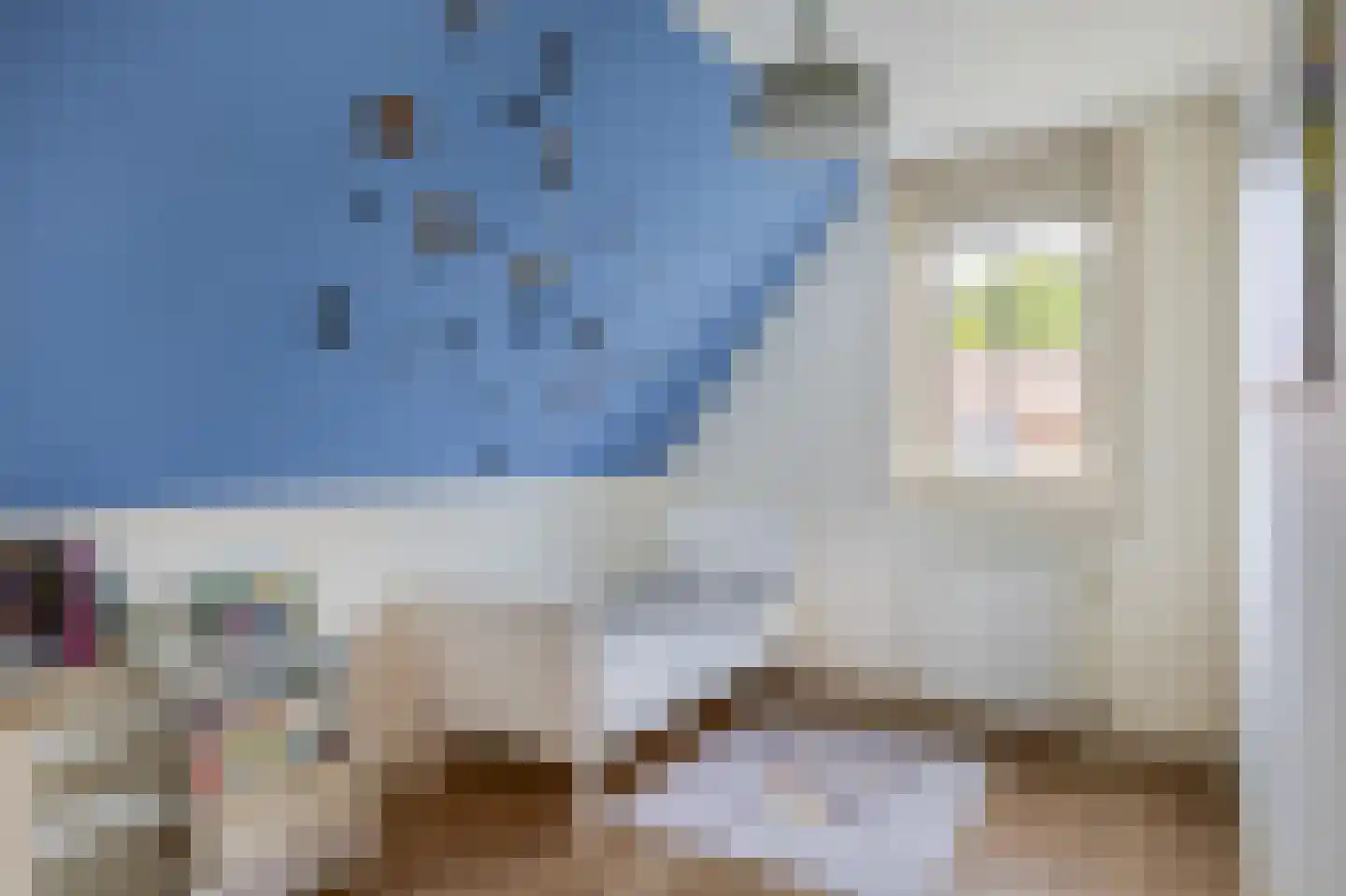 Willem Sijpesteijnstraat 2 b Assendelft thumbnail 24
