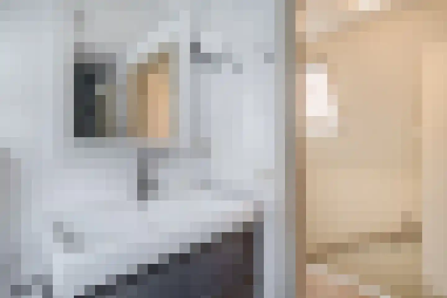 Willem Sijpesteijnstraat 2 b Assendelft thumbnail 29
