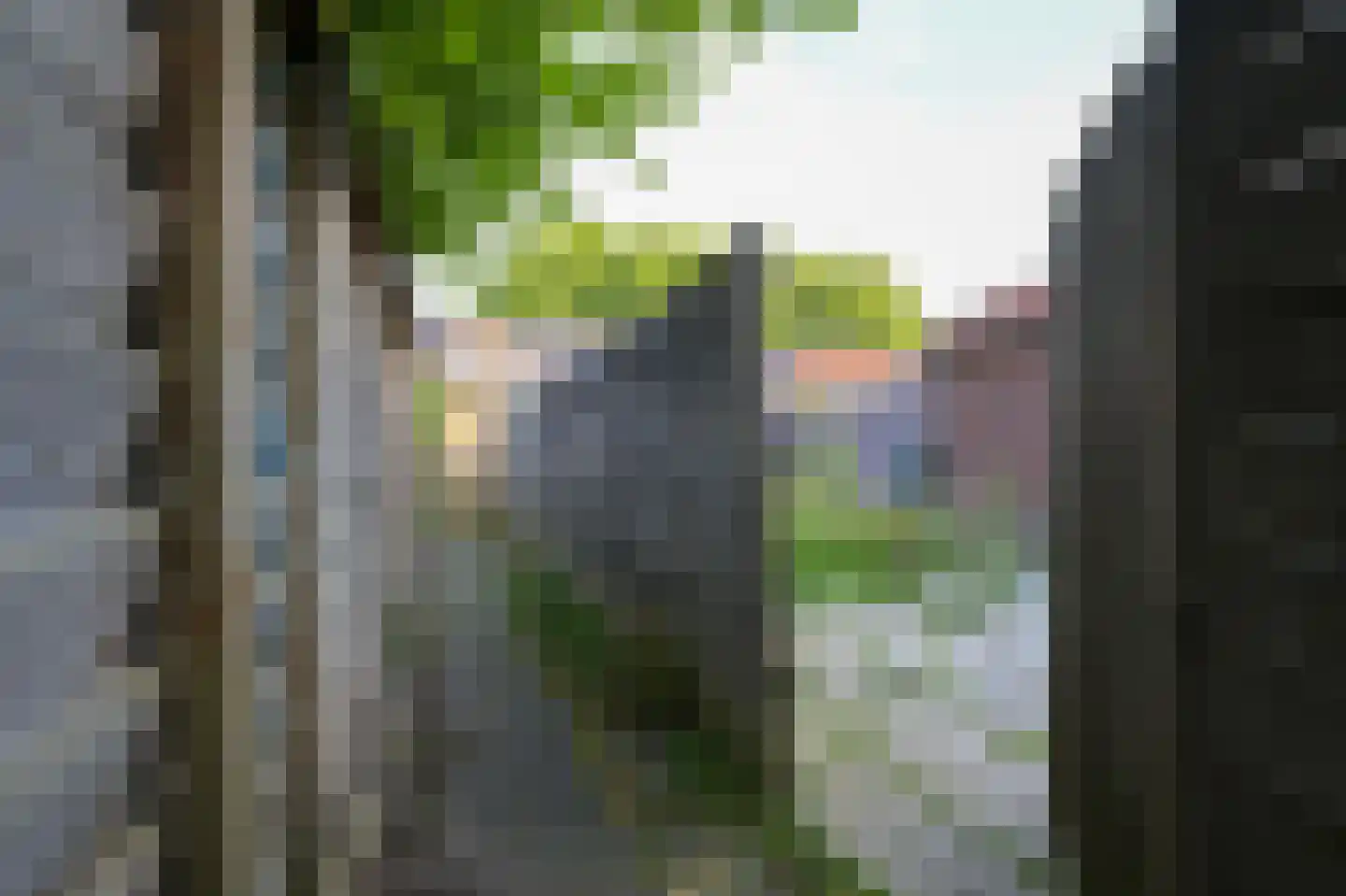 Willem Sijpesteijnstraat 23 Assendelft thumbnail 15