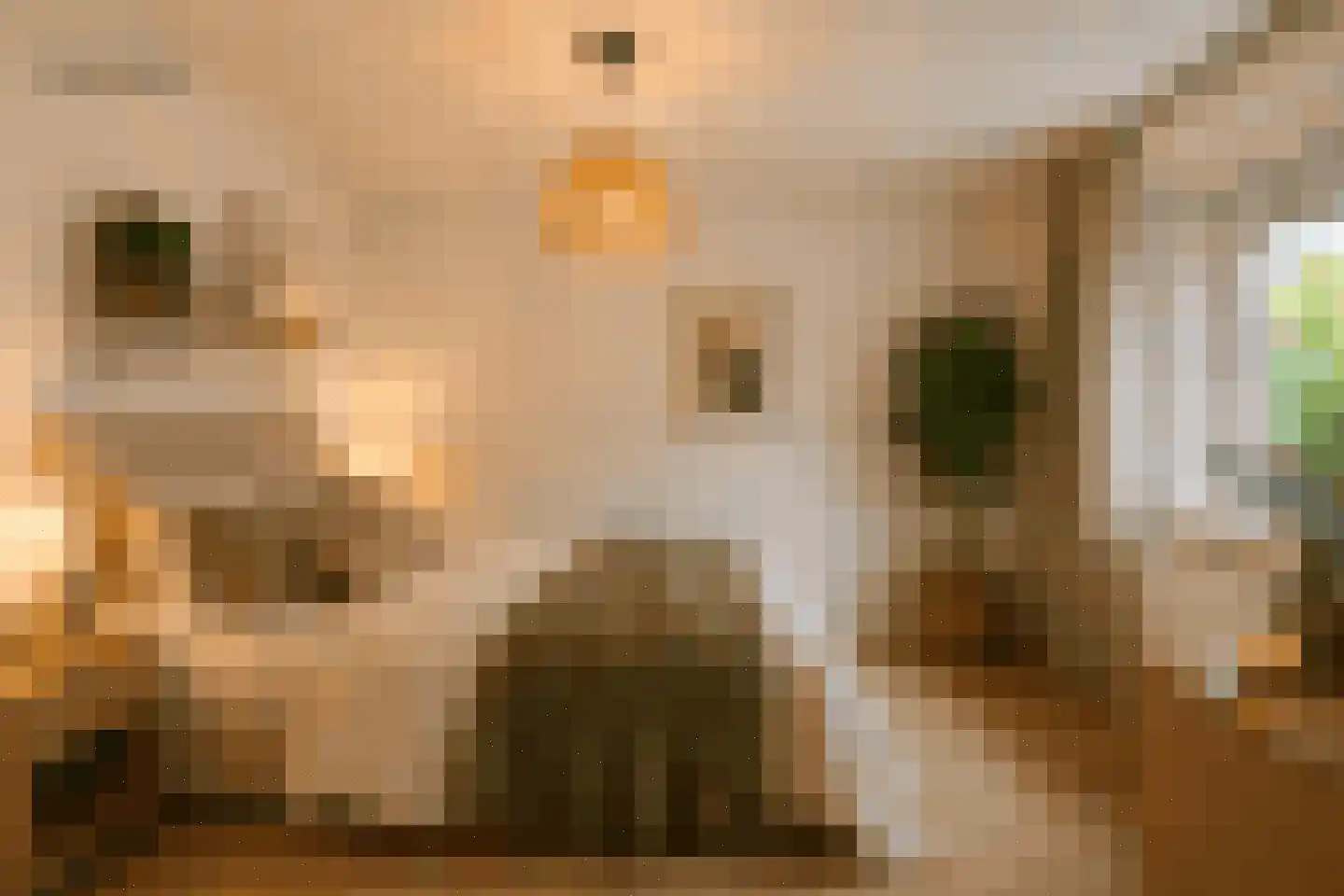 Willem Sijpesteijnstraat 23 Assendelft thumbnail 22