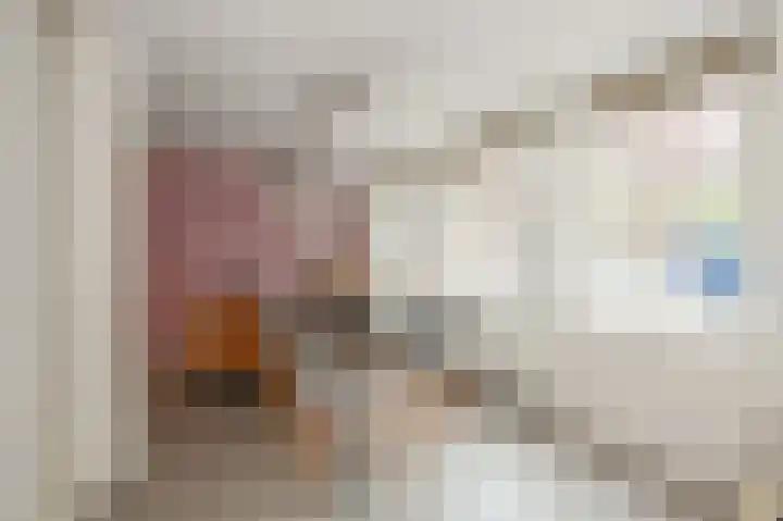 Willem Silviusstraat 6 A Den Haag thumbnail 8