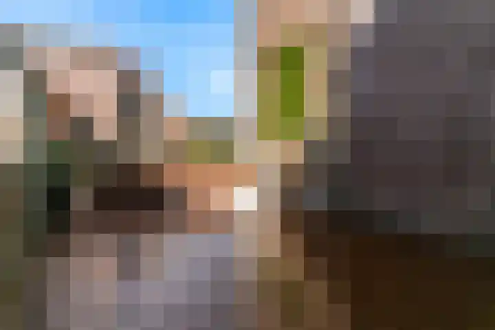 Willem Silviusstraat 8 Den Haag thumbnail 10