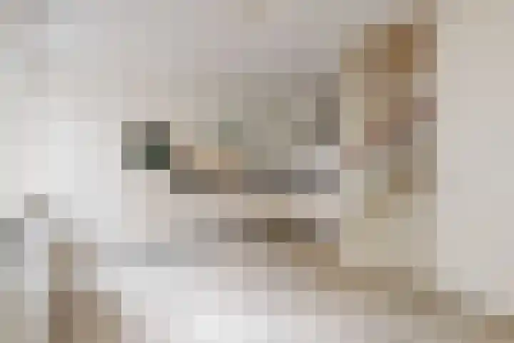 Willem Silviusstraat 8 Den Haag thumbnail 8