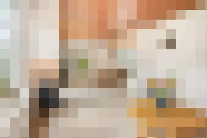 Willem Sluyterweg 13 Haarlo thumbnail 10