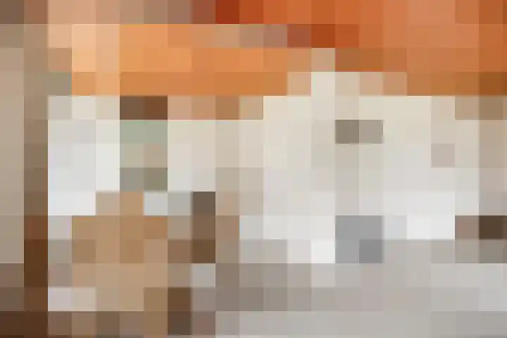 Willem Sluyterweg 13 Haarlo thumbnail 12