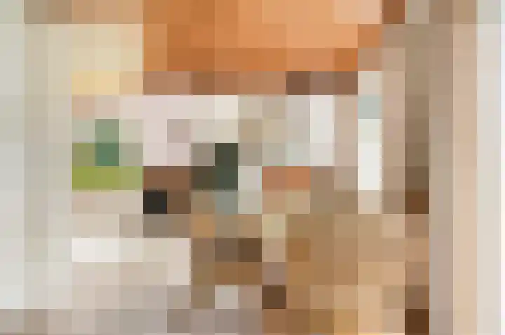 Willem Sluyterweg 13 Haarlo thumbnail 13