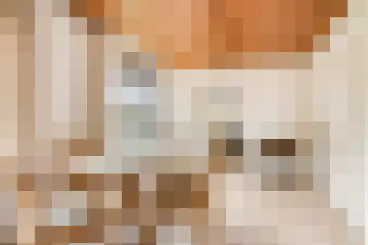 Willem Sluyterweg 13 Haarlo thumbnail 14