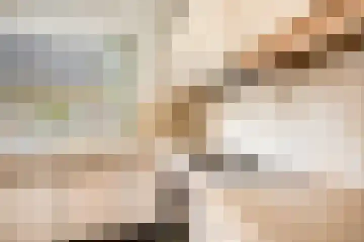 Willem Sluyterweg 13 Haarlo thumbnail 17