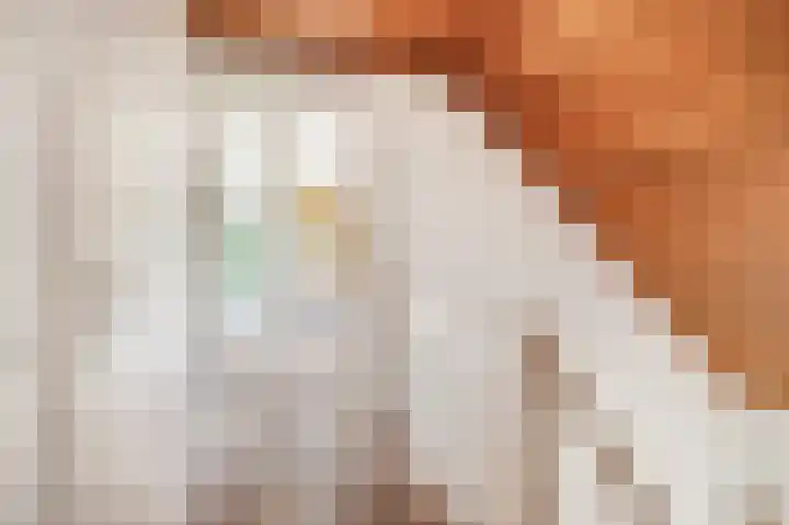 Willem Sluyterweg 13 Haarlo thumbnail 24