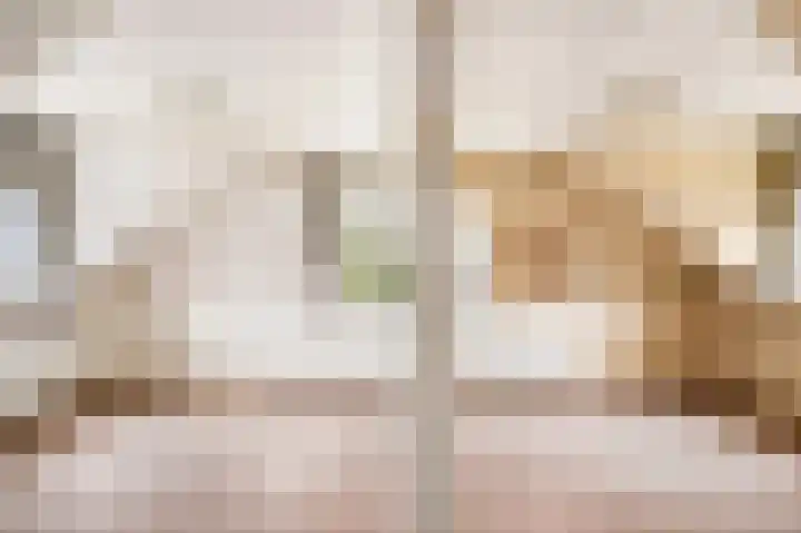 Willem Sluyterweg 13 Haarlo thumbnail 25