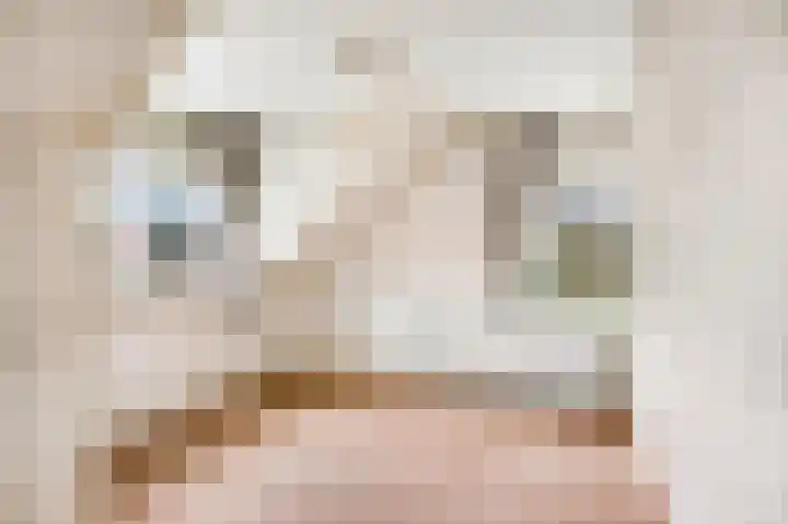 Willem Sluyterweg 13 Haarlo thumbnail 28