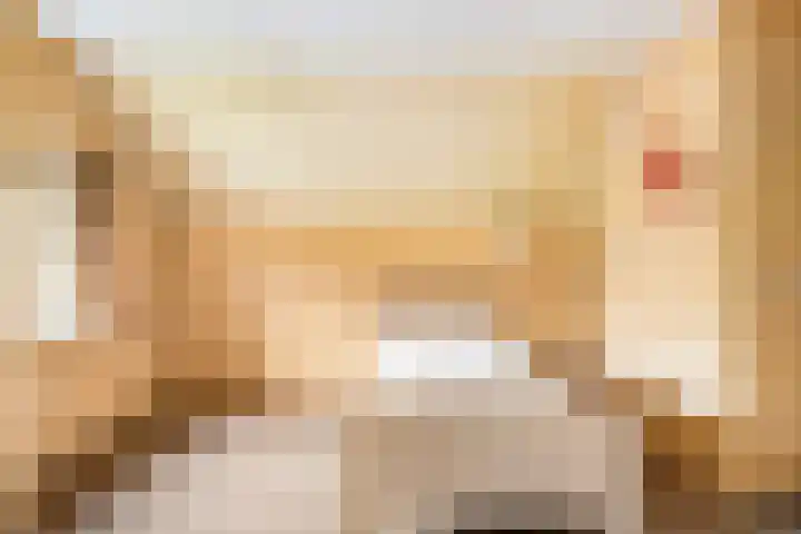 Willem Sluyterweg 13 Haarlo thumbnail 31