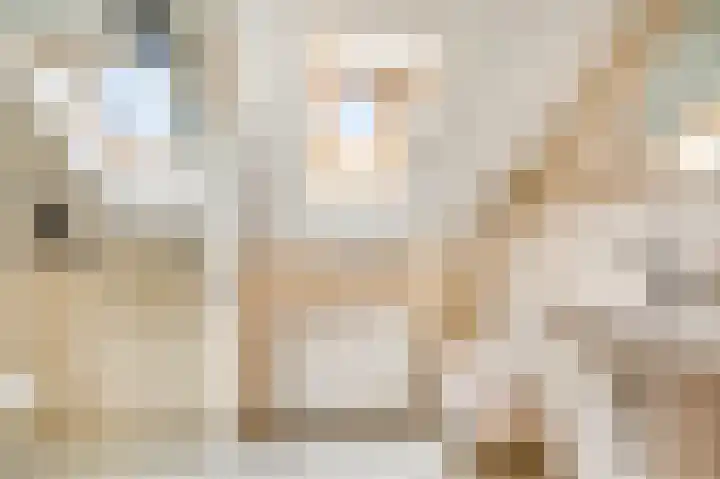 Willem Sluyterweg 13 Haarlo thumbnail 33