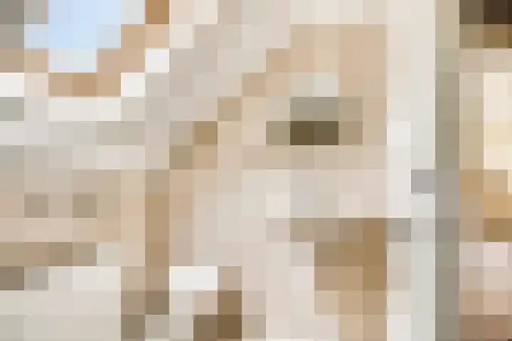 Willem Sluyterweg 13 Haarlo thumbnail 35