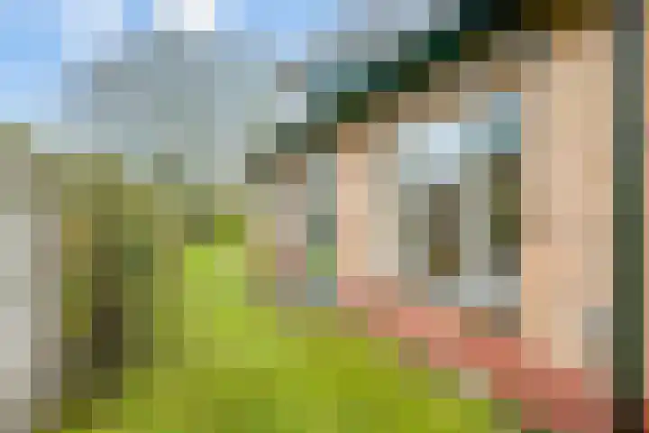 Willem Sluyterweg 13 Haarlo thumbnail 38