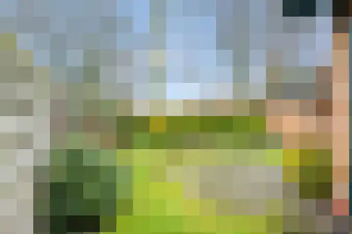 Willem Sluyterweg 13 Haarlo thumbnail 41