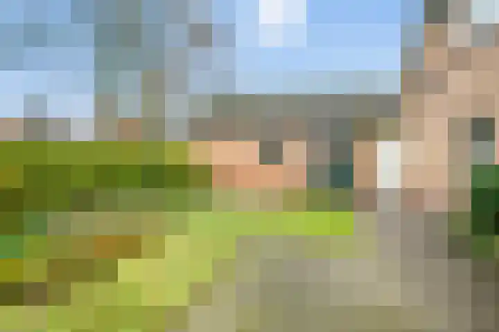 Willem Sluyterweg 13 Haarlo thumbnail 42