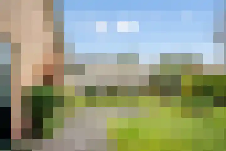 Willem Sluyterweg 13 Haarlo thumbnail 45