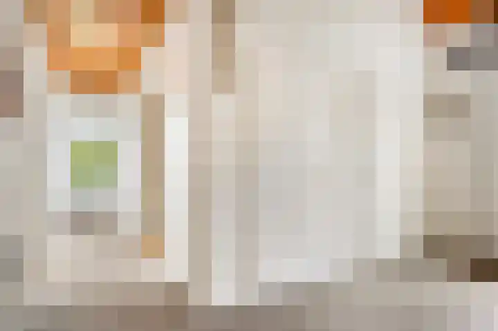 Willem Sluyterweg 13 Haarlo thumbnail 5