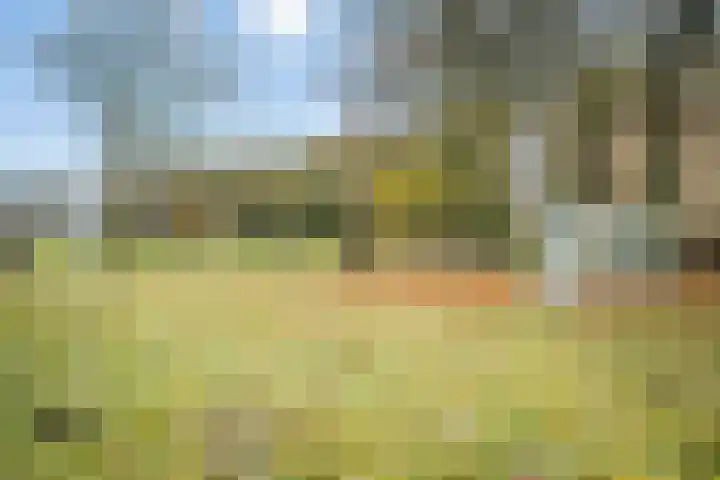 Willem Sluyterweg 13 Haarlo thumbnail 51