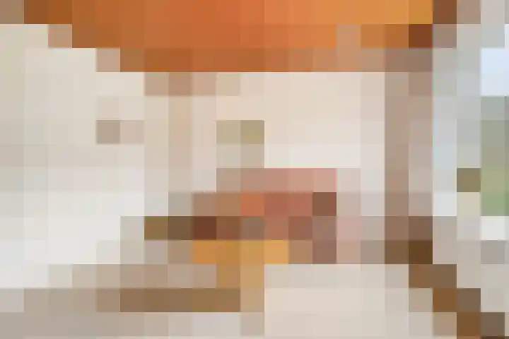 Willem Sluyterweg 13 Haarlo thumbnail 7