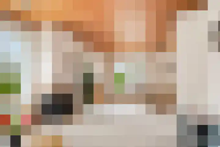 Willem Sluyterweg 13 Haarlo thumbnail 9