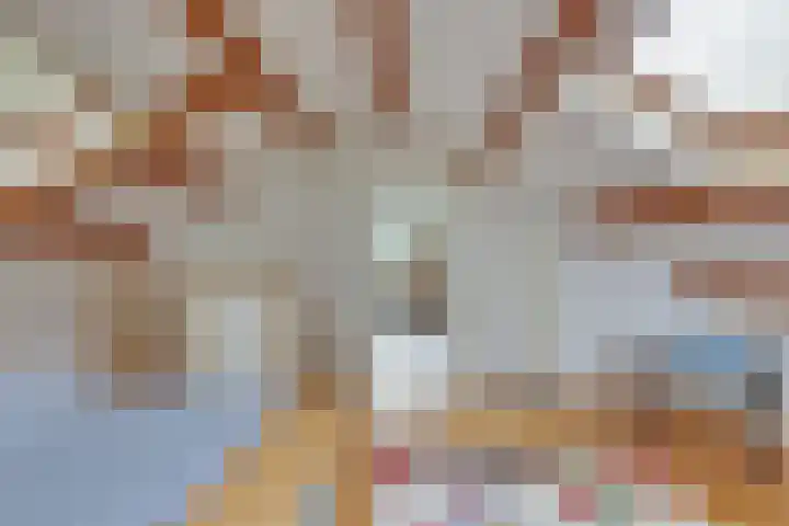 Willem Sluyterweg 15 Haarlo thumbnail 19
